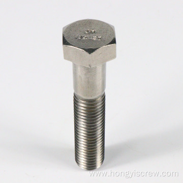 Stainless Steel Hex BoltPlain Hex Bolt